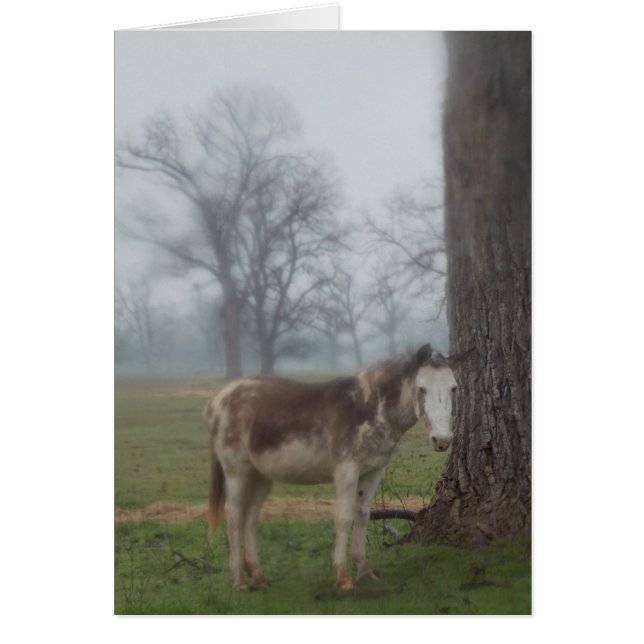 Måne River Ranch III OBS Kort (Framsidan)