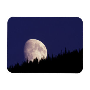 Måne & Skog Glacier National Park Montana Magnet