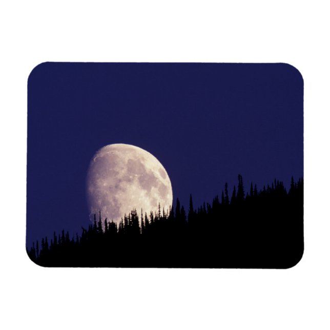 Måne & Skog | Glacier National Park Montana Magnet (Horisontell)