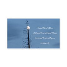 Måne som spetsas av träd