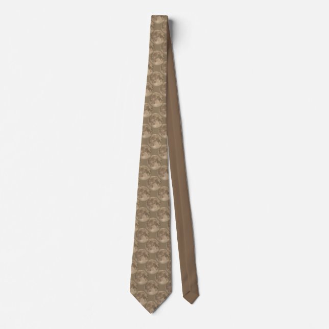 Måne Ties Full Moon Neckties Toppen Måne-gåvor (Framsida)