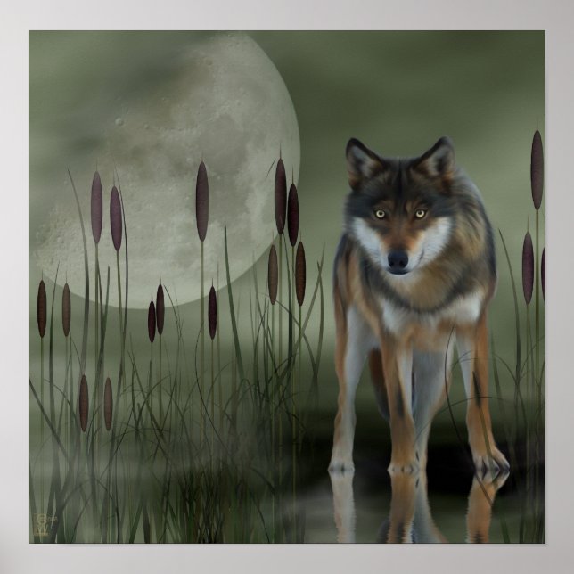 Måne Varg - Varg, djur Poster (Framsidan)