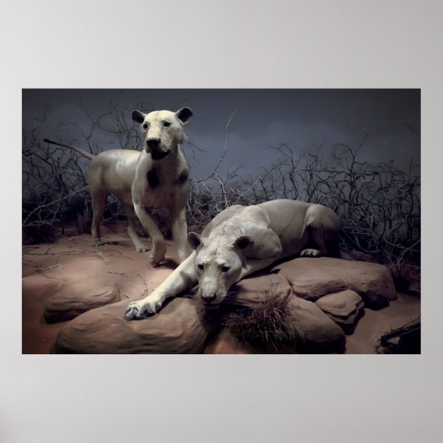 MANEATING LEJON of TSAVO Poster (Framsidan)