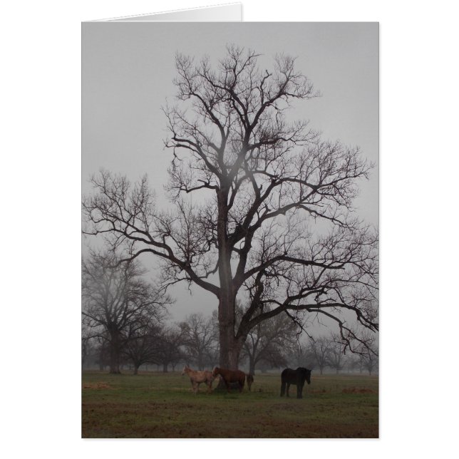 Måneflodranch II OBS Kort (Framsidan)
