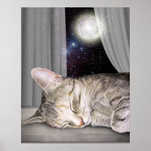 Månekatt Poster