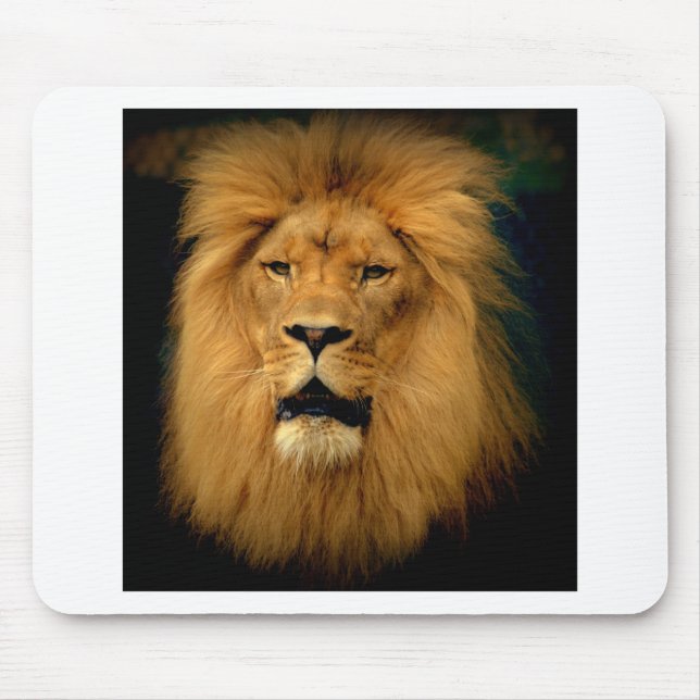 Maneman Musmatta (Framsidan)