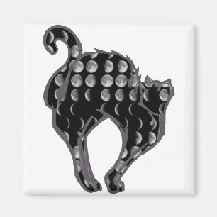 Månen arrangerar gradvis kattunge magnet