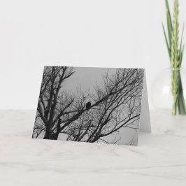 Manen som ser upp kort