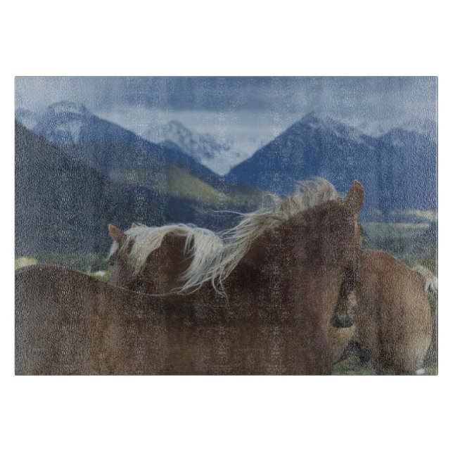 Manes- & bergskärbräda (Framsidan)