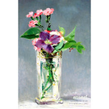 Manet Carnations clematis CC1240 Fina blommor