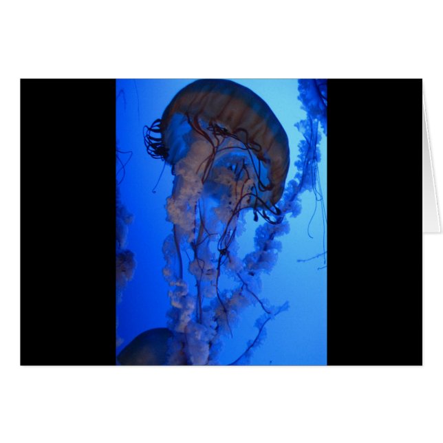 Manet Hälsningskort (Framsidan Horizontal)