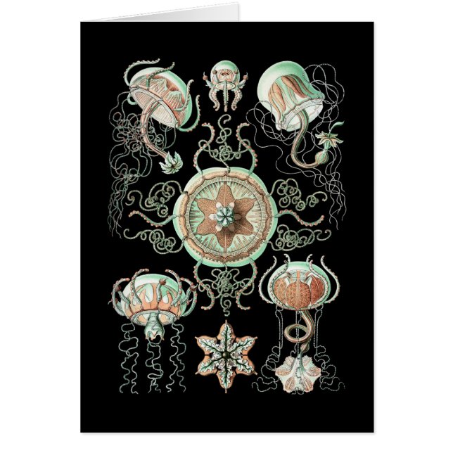 Manet Hälsningskort (Framsidan)