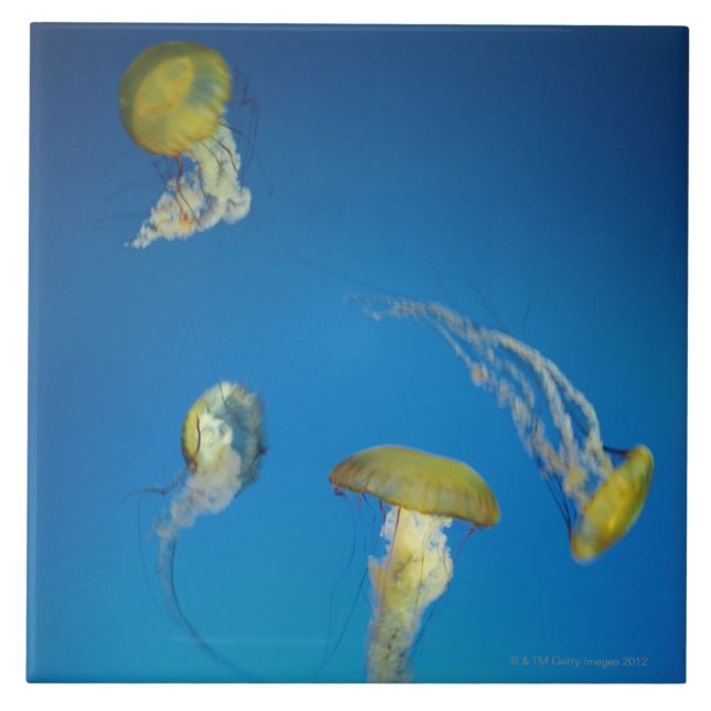 Manet Kakelplatta (Framsidan)