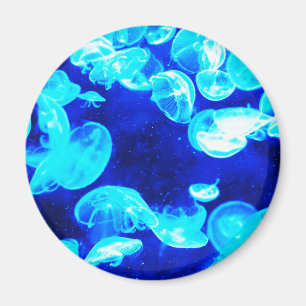 Manet Magnet
