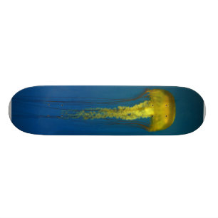 Manet Mini Skateboard Bräda 18,7 Cm
