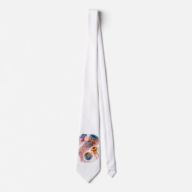 Manet Slips (Framsida)