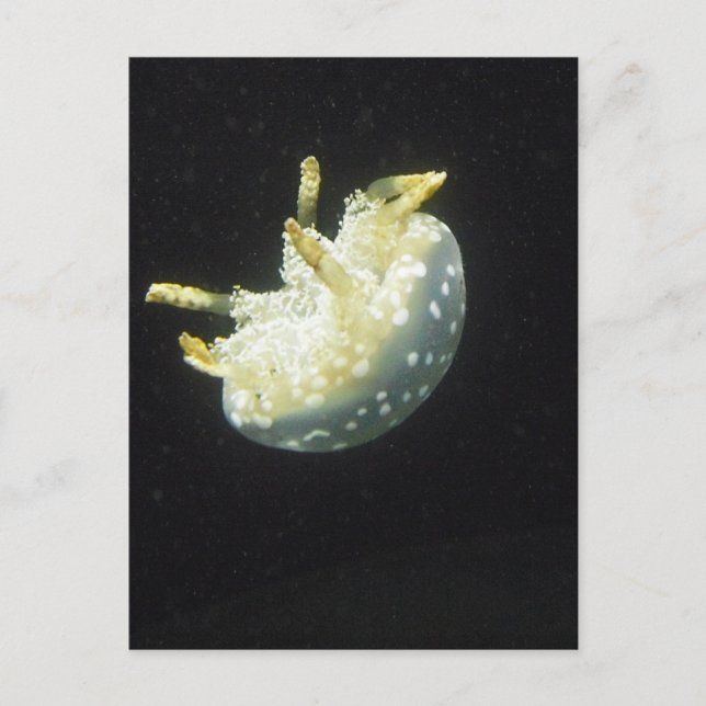 Manet Vykort (Framsida)