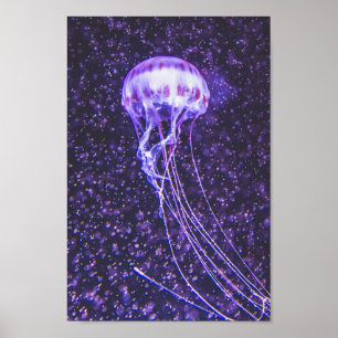 Manetaffisch Poster