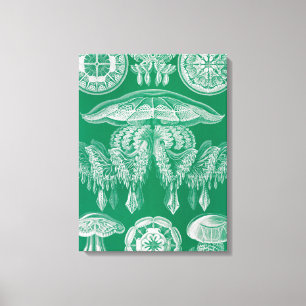 Maneter, Discomedusae av Ernst Haeckel Canvastryck