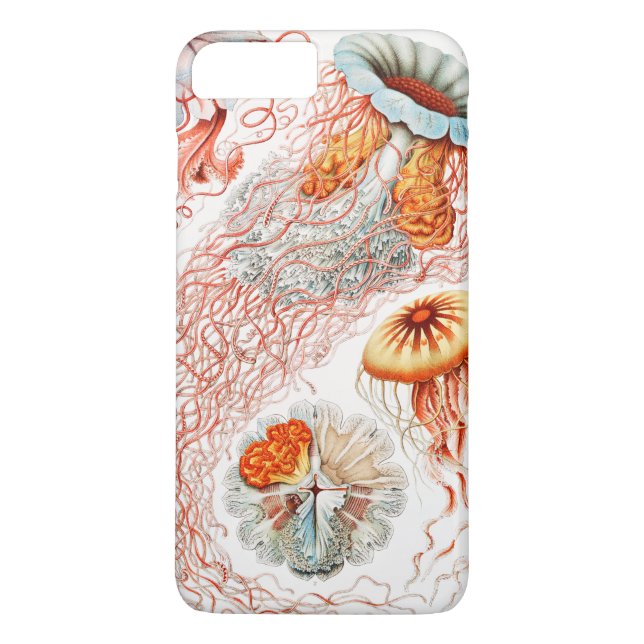 Maneter, Discomedusae  av Ernst Haeckel Case-Mate iPhone Skal (Baksida)
