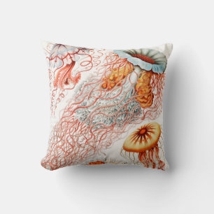 Maneter, Discomedusae av Ernst Haeckel Kudde