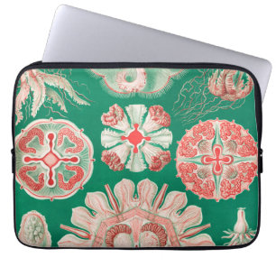 Maneter, Discomedusae av Ernst Haeckel Laptop Fodral