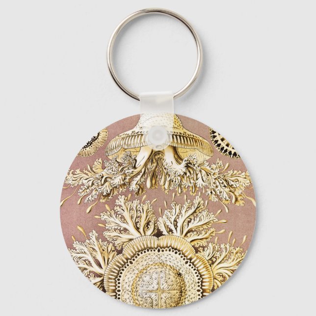 Maneter, Discomedusae av Ernst Haeckel Nyckelring (Framsida)