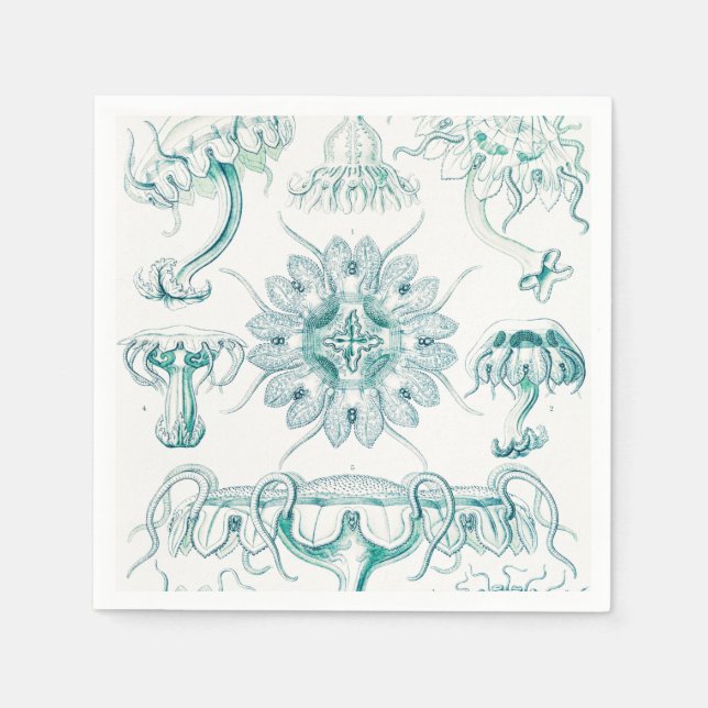 Maneter, Discomedusae av Ernst Haeckel Pappersservett (Framsidan)