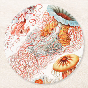 Maneter, Discomedusae av Ernst Haeckel Underlägg Papper Rund