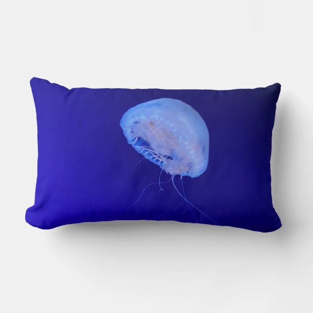 Maneter Lumbarkudde (Framsida)