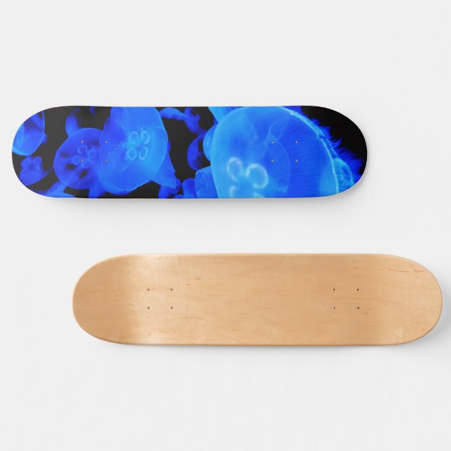 maneter skateboard (Horz)