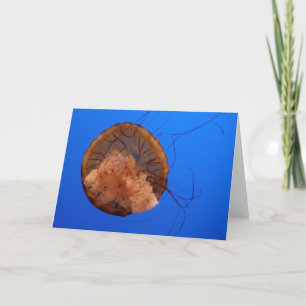 Manethälsningkort Kort