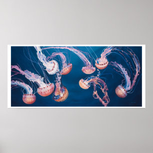 Manetsylt av Paul Jackson, aws, nws Poster