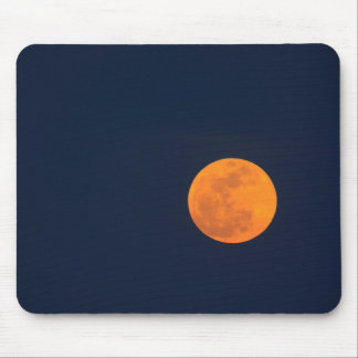 Måneuppgång Super Moon | Savannah, Georgia Musmatta