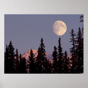 Måneuppgång Tidig vinter Anchorage, Alaska Poster
