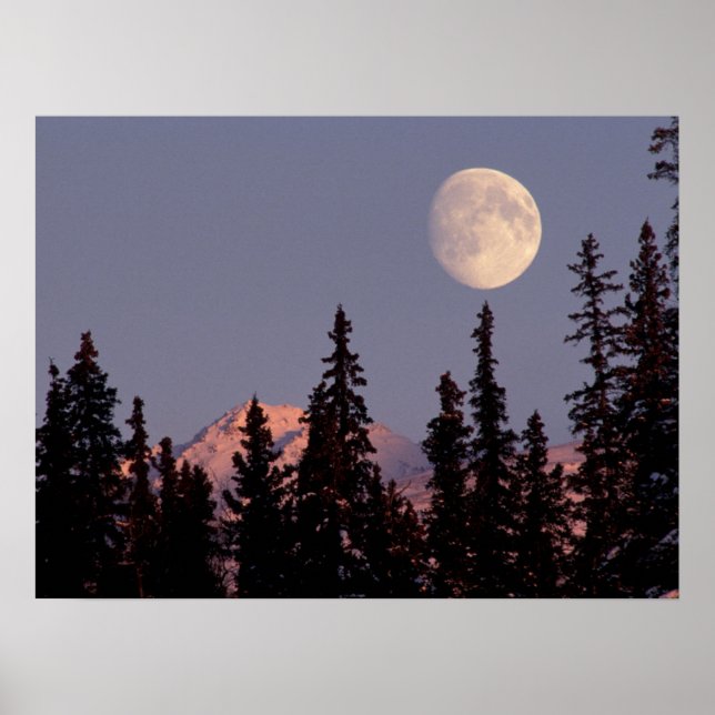 Måneuppgång Tidig vinter | Anchorage, Alaska Poster (Framsidan)