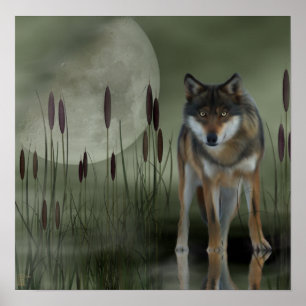 Månevarg - varg, djur poster