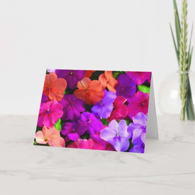 Mång- färg blommar kortet - förbigå kort (Framsida)