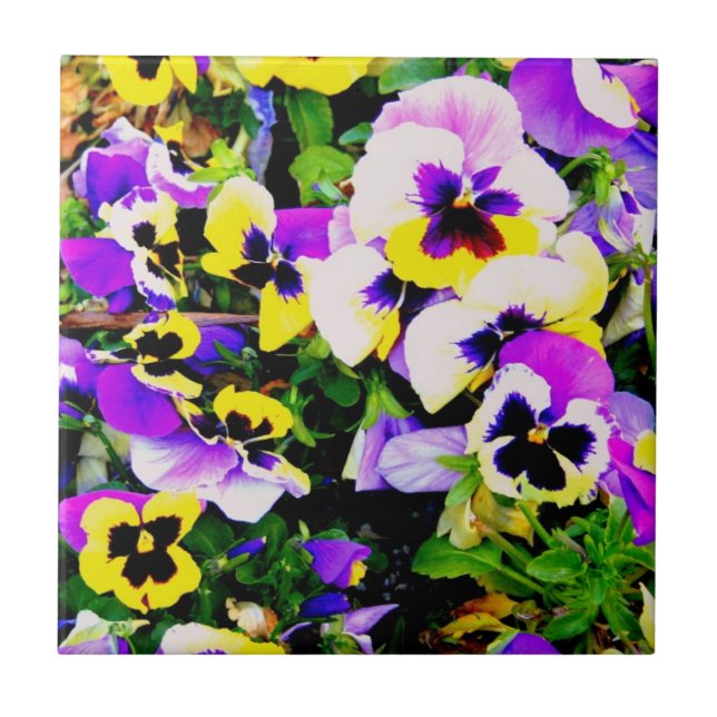 mång--färg pansies belägger med tegel kakelplatta (Framsidan)