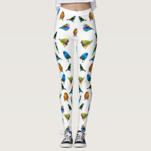 Mång--färgade fåglar på vitdamasker leggings