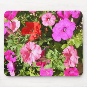 Mång--färgade Petunias Musmatta