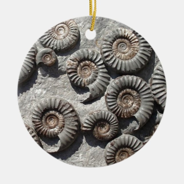 Mång- fossil- ammonites från den lägre Liasen Julgransprydnad Keramik (Framsidan)