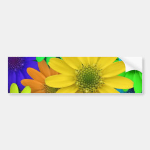 Mång- kulöra daisy bildekal