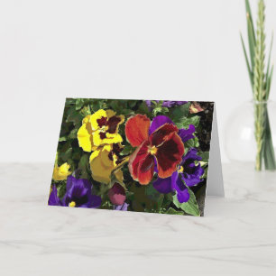 Mång- kulöra Pansies Kort