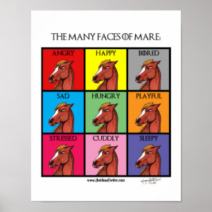Många Ansikte av Mare Poster