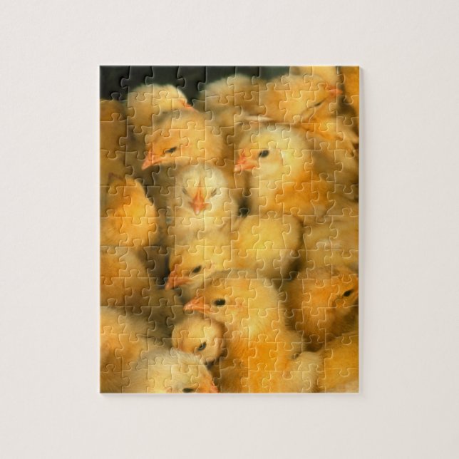 Många babychickhönor pussel (Vertikal)
