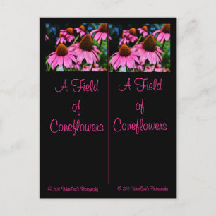 Många Coneflowers Bookmark Postcard Vykort