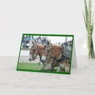 Många dagar in kort