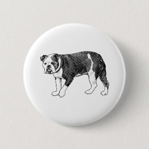 Manga Dot Bulldog, Button Flair Knapp
