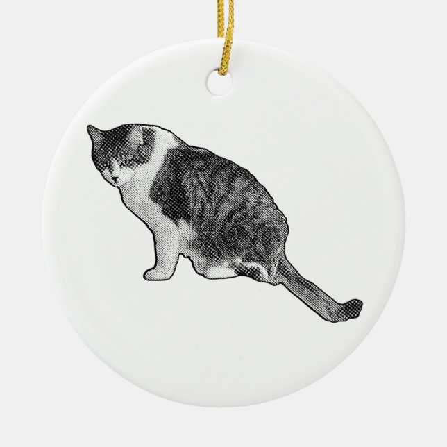 Manga Dot Cat Ornament Brightens Festive Decor (Framsidan)